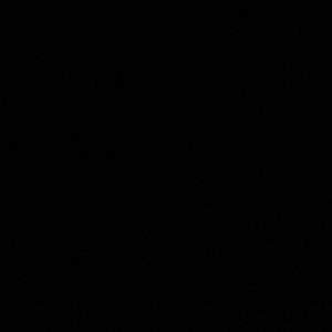 Meet your Posher, Komal